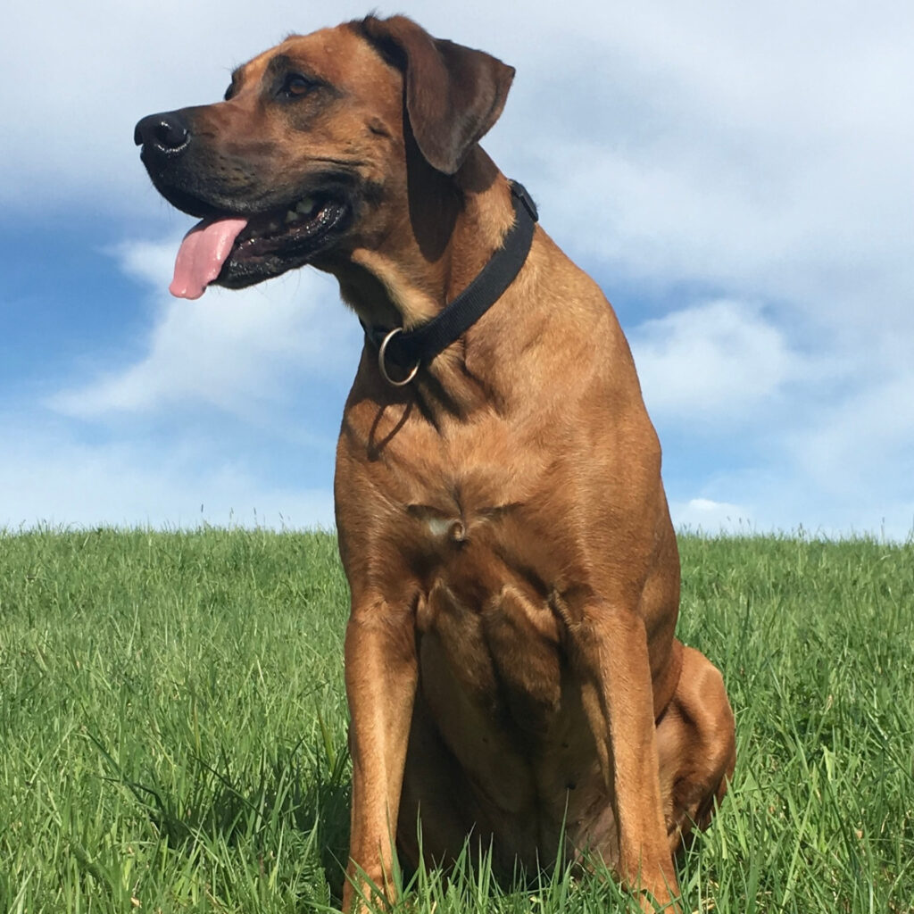 3397F1E6 73E3 4274 9CFF 0D15718C0129