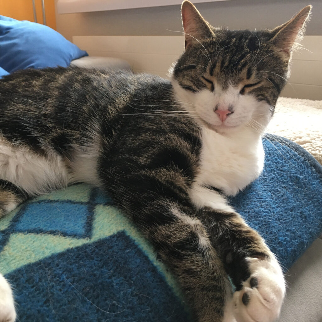 59B57C13 1BDC 4459 8448 510DC7068F32