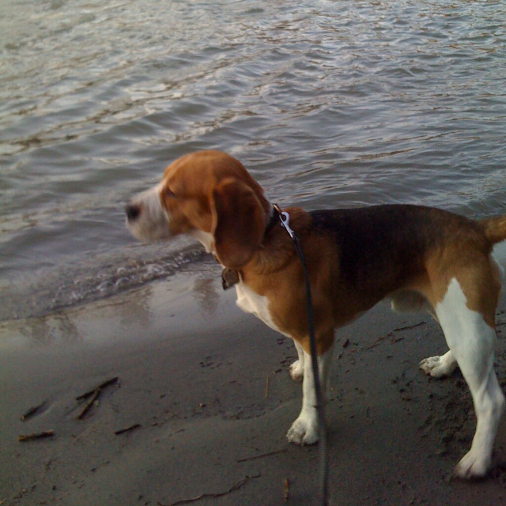 8B463056 6B7F 4E2D A8B7 5965E32475EE