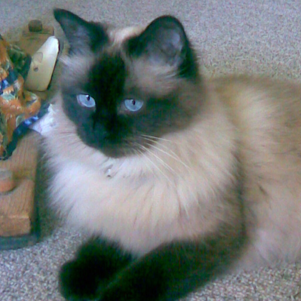 955550C9 C28B 4EB2 B2FD CE9F218B11C8