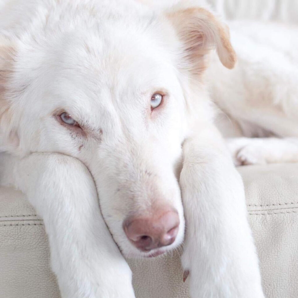 9CBC1495 E850 47EE AD49 020DC09F52EE