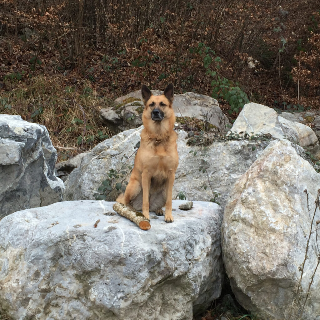 AC1D6B8C 24E6 43EE 8B78 FA515A96836B