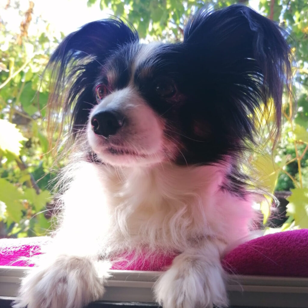 Screenshot 20220717 145551 WhatsApp