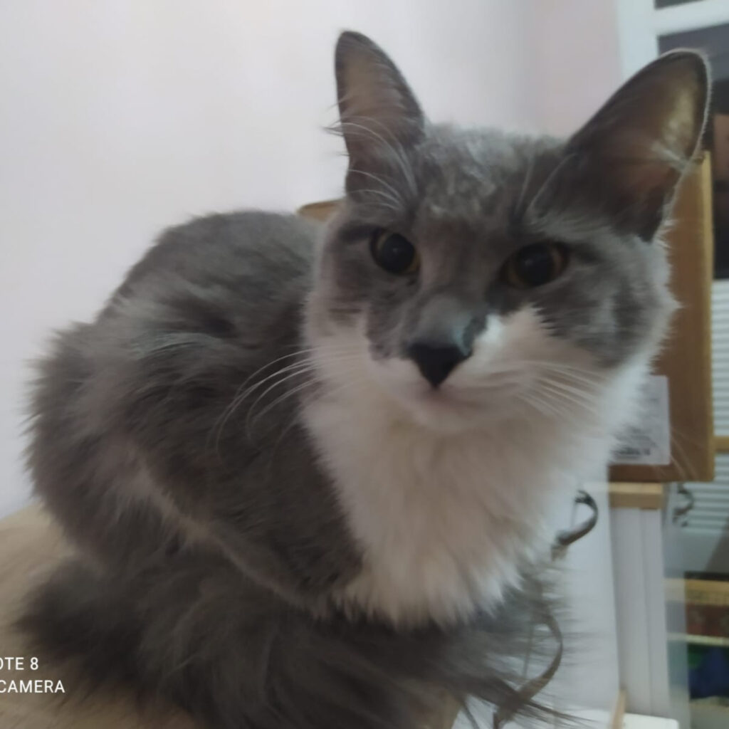 ae2e253c 8449 4200 9271 4678c38d58c9