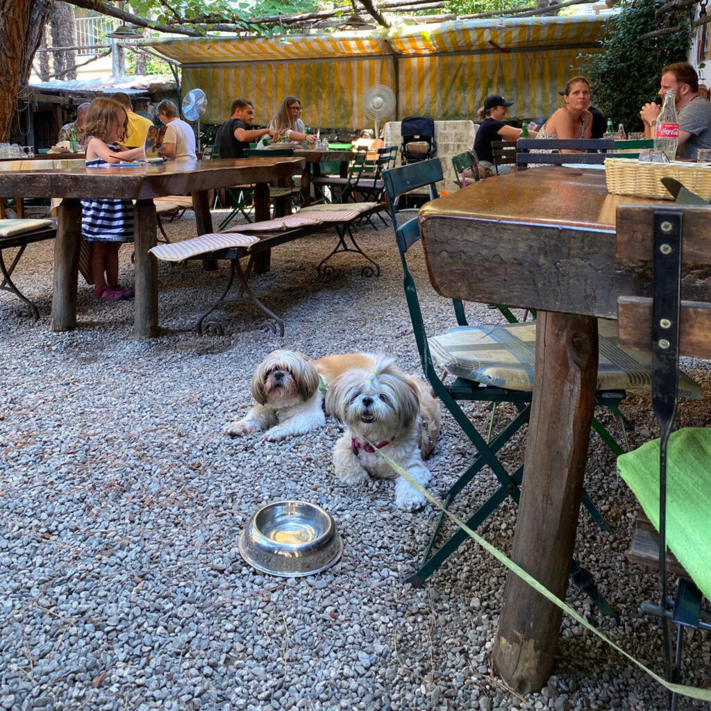 c07a9816 20ef 4651 bcd9 235a559df4e5