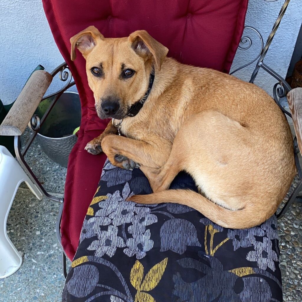 53E3BDC9 664D 4995 AA26 A1D6092A545C