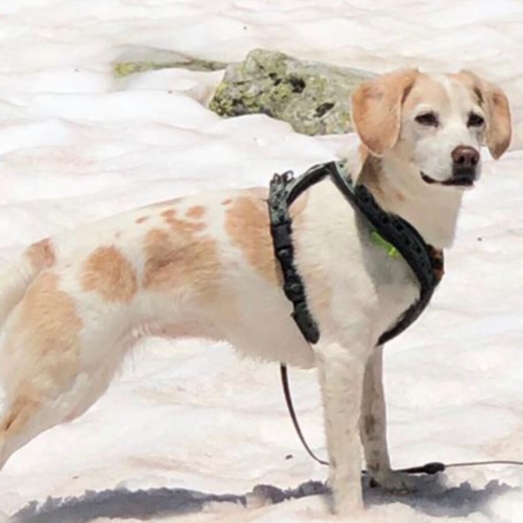 D23739CA 35FC 4DCD B2B4 40A2F2E924C8