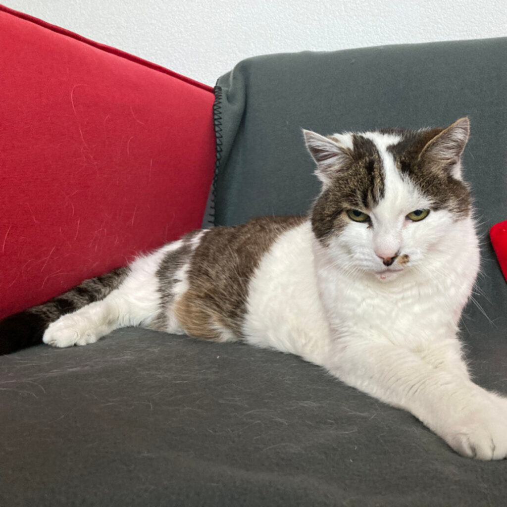 E646AEB2 3097 4AA1 9FA5 D559D2E32438 1 105 c