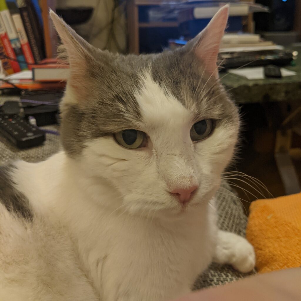 PXL 20220131 183927226 29090