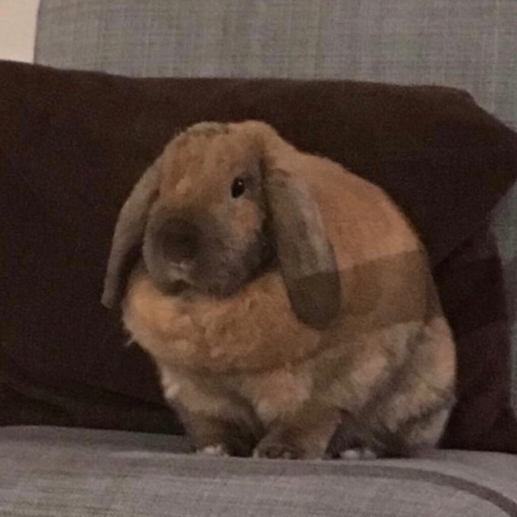 5234DE6B AAEA 4679 9249 5D4385CBFB2C 1 201 a