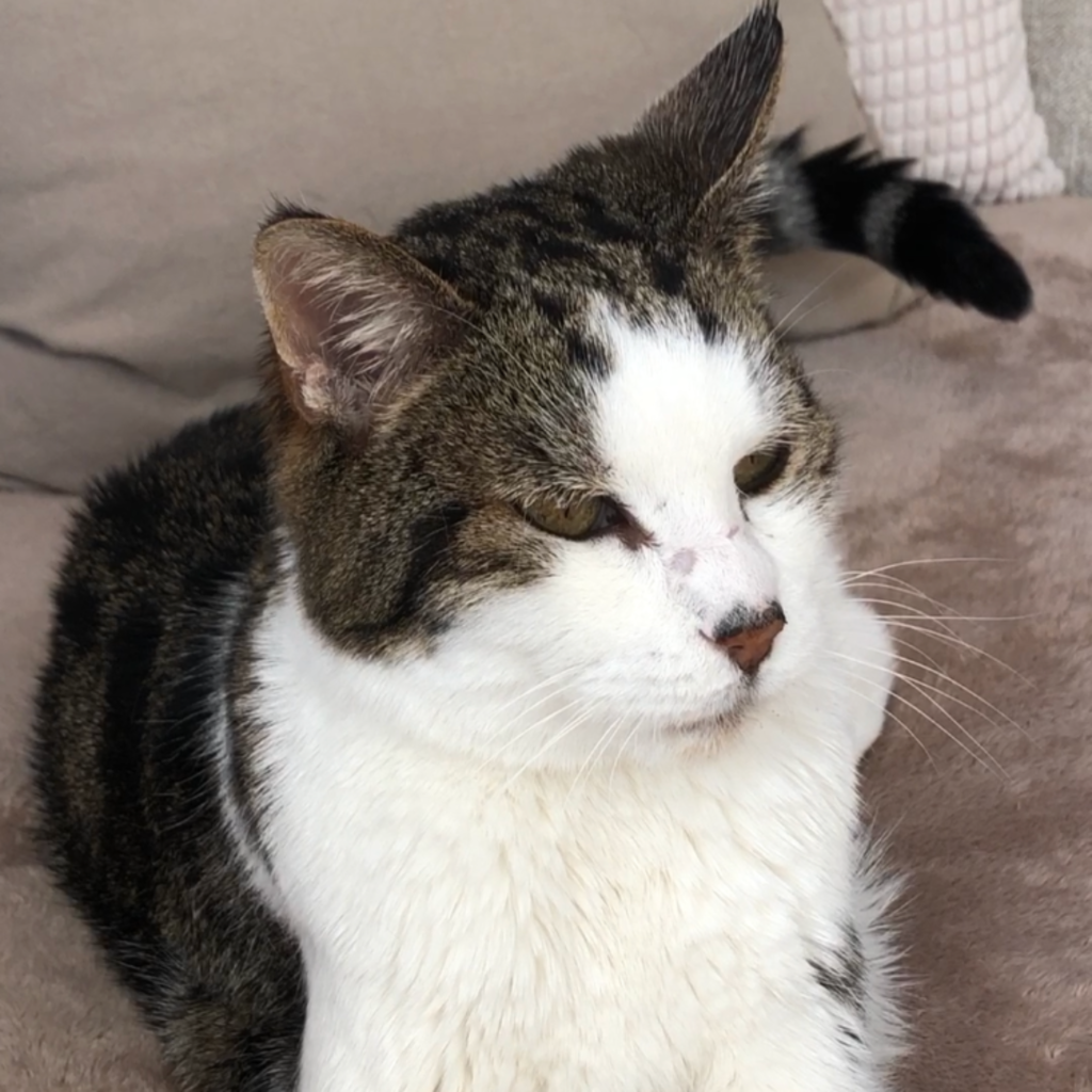 D2D92C73 5FB1 490A A283 6A543DE8D7CB