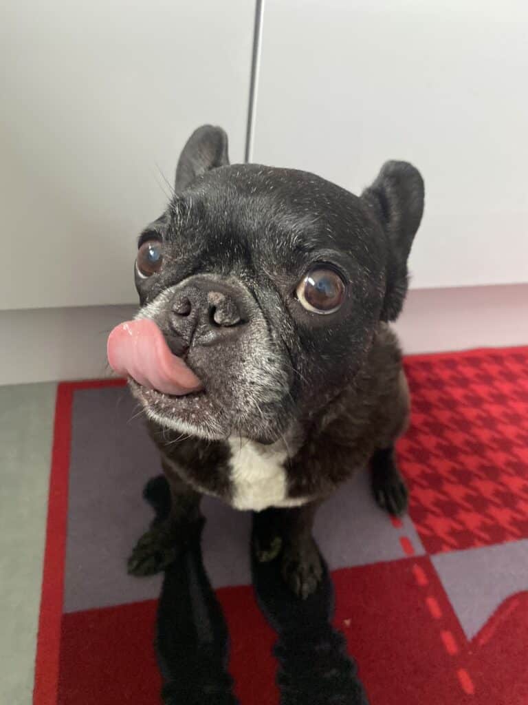 8034390A D053 41FE 8674 D7EEFF8A7937