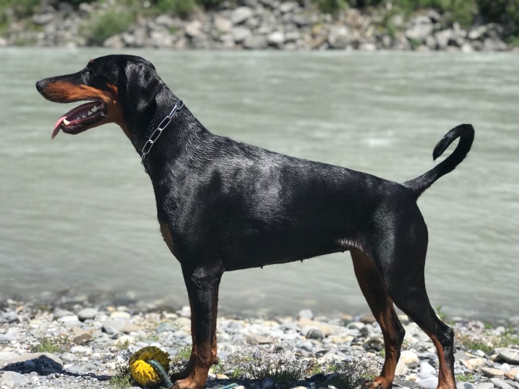 A7CFDC82 F333 4312 8946 82AA81F8247C