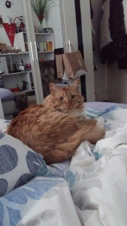 bilder Christina 883