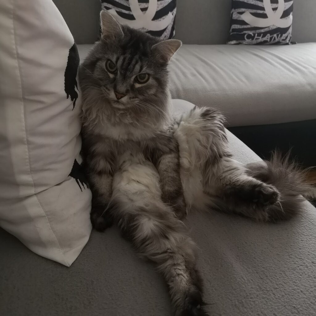 IMG 20220616 021118 756