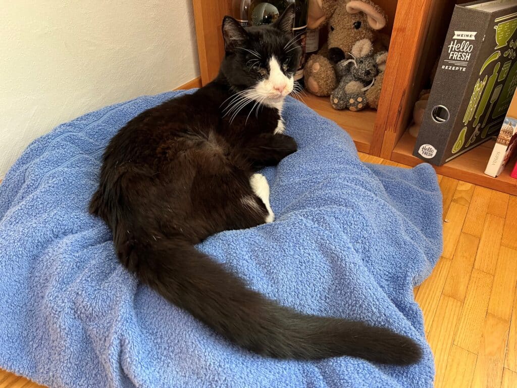 nella
