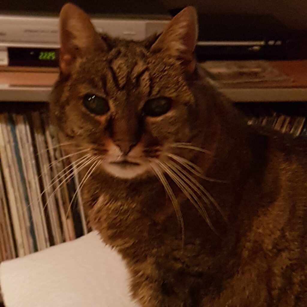 Schnurrli
