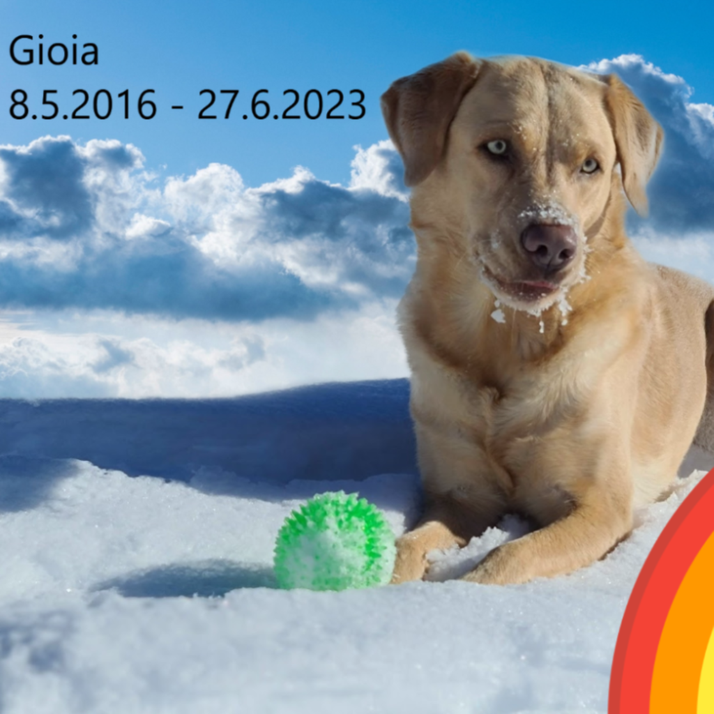 RIP Gioia 27.6.2023 2