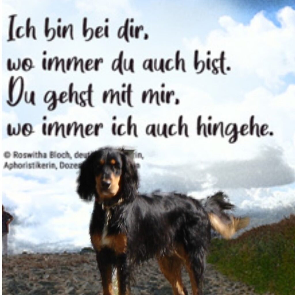 SAM DU GEHST MIT MIR 1