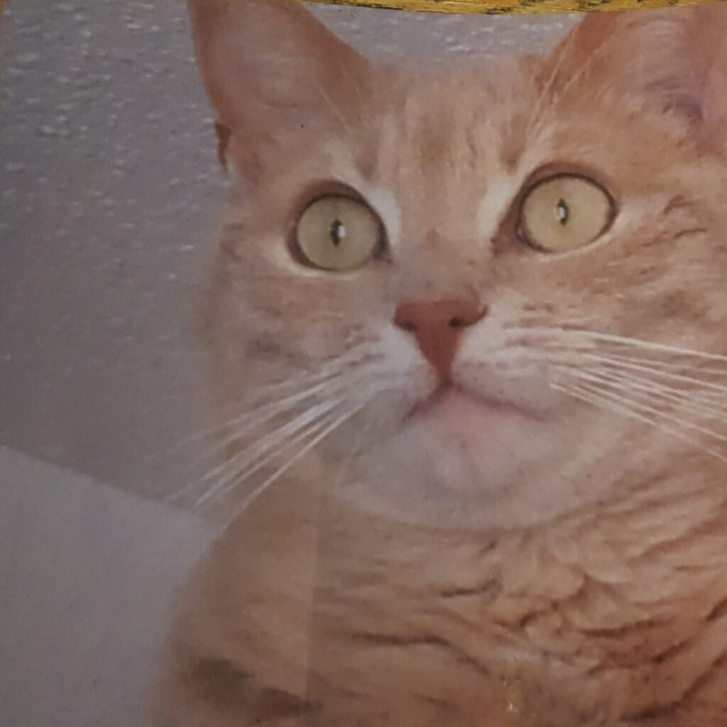 20231222 204204