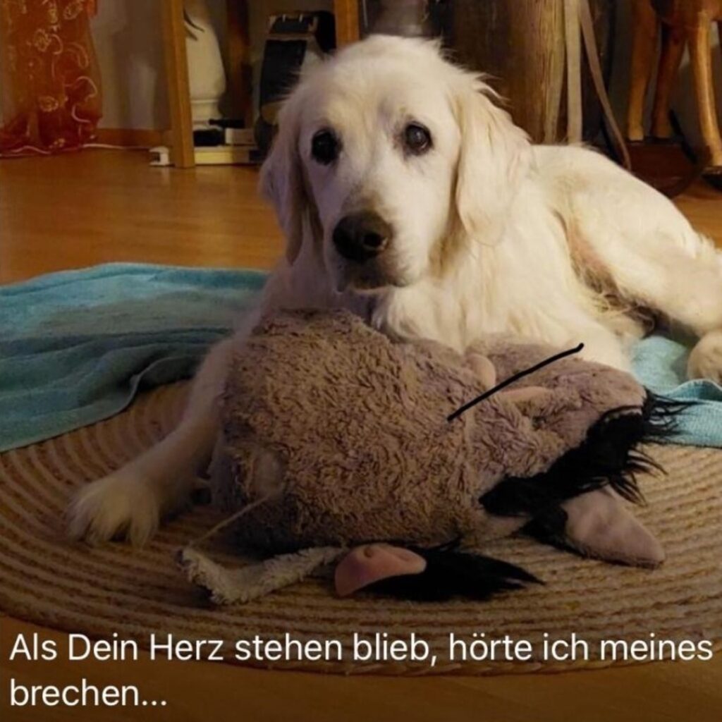 WhatsApp Bild 2024 02 06 um 12.47.31 e6669087