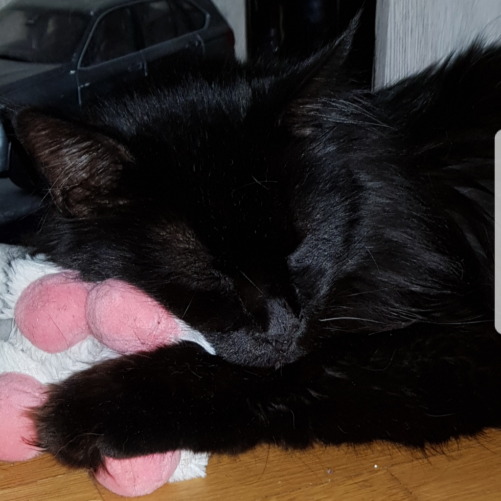 117