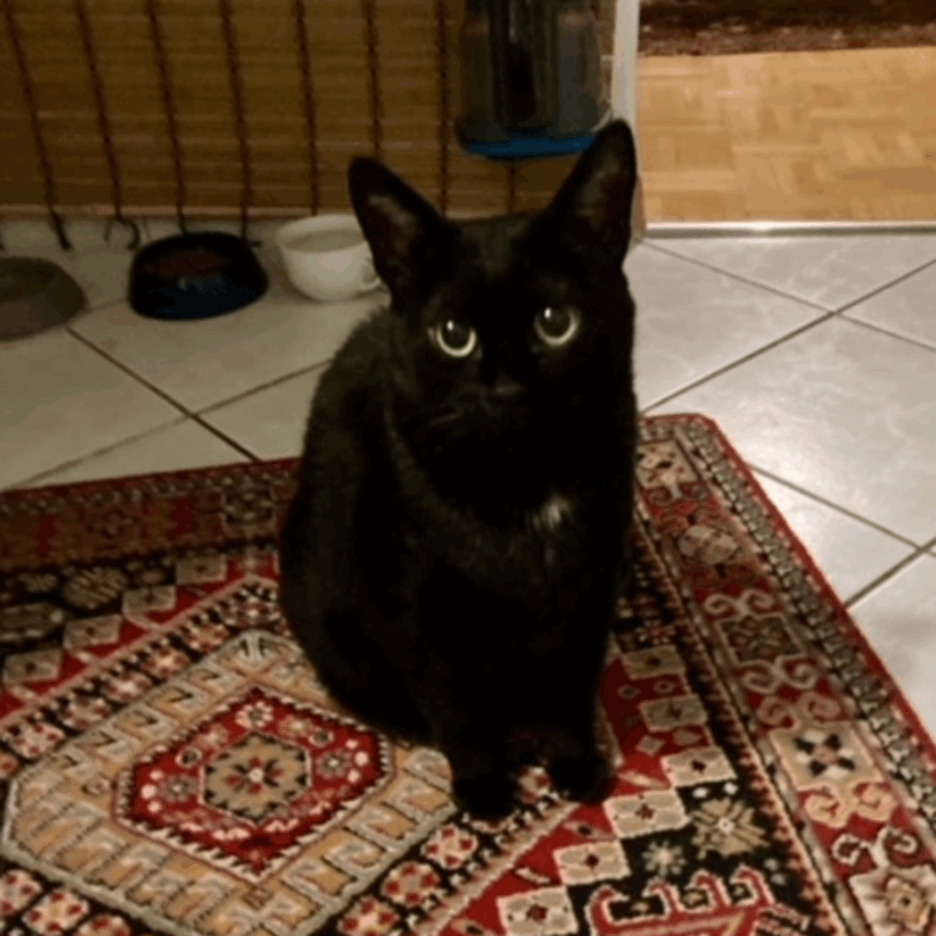 Mutzli