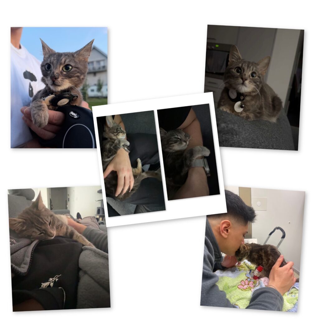 photo output