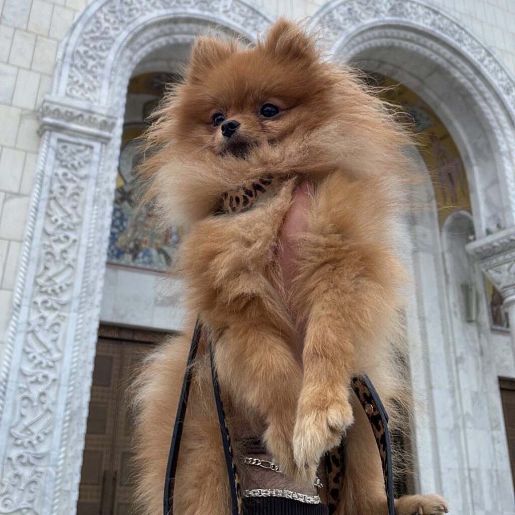 EFAA1EC0 9FE4 4CE7 9A99 73ABE0F97736