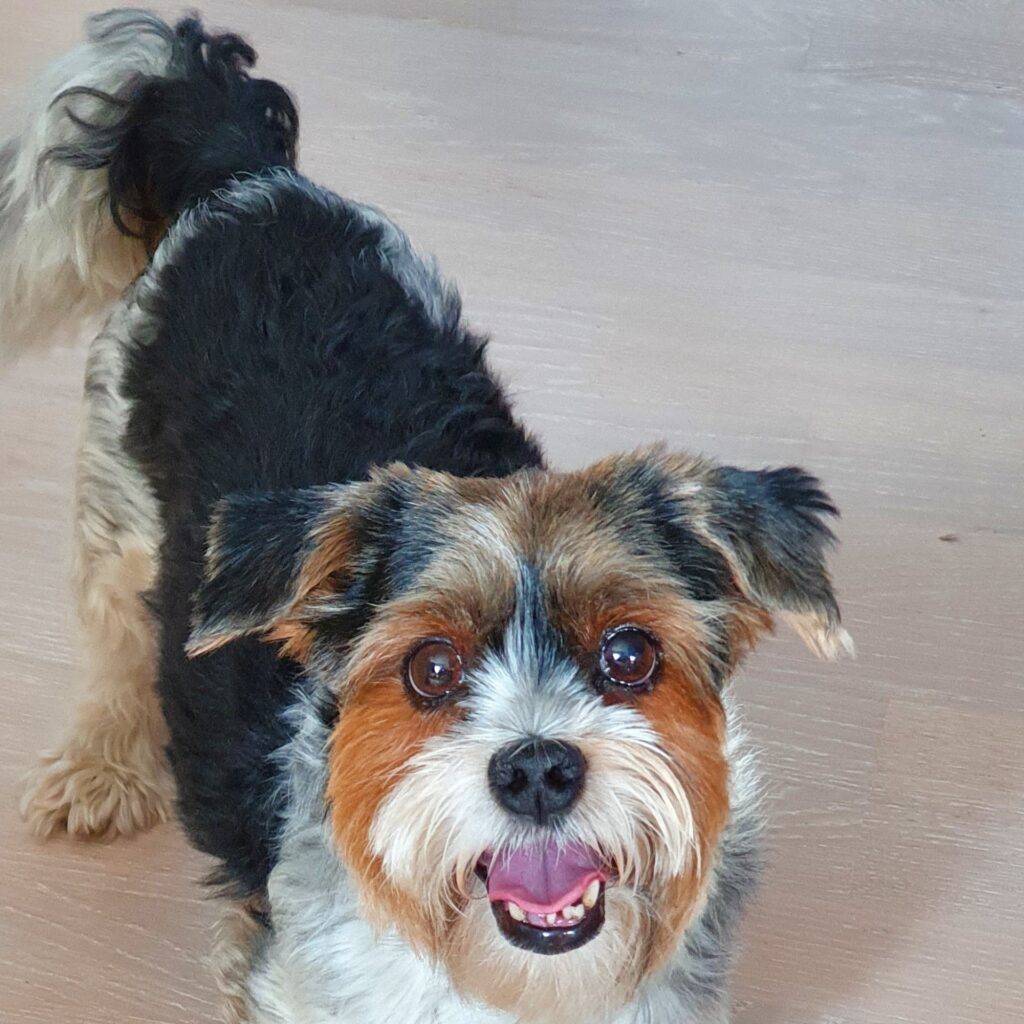 Nuby solo 20221018 150554 002