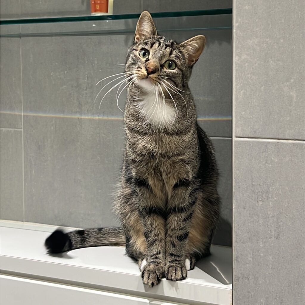 00CC7A27 A8C9 43DE A19F 991895817750