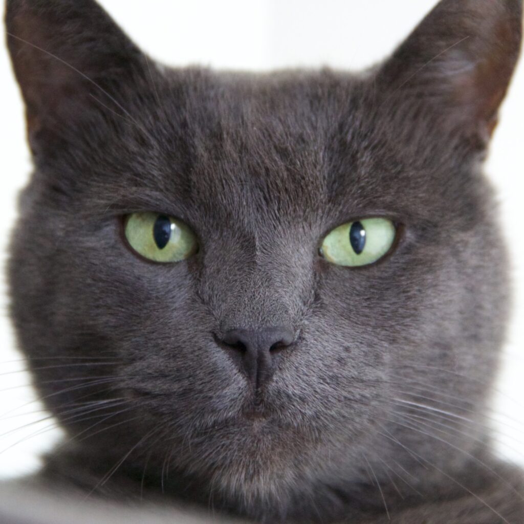 557721992 2259148804612951 7698625676643092735 n