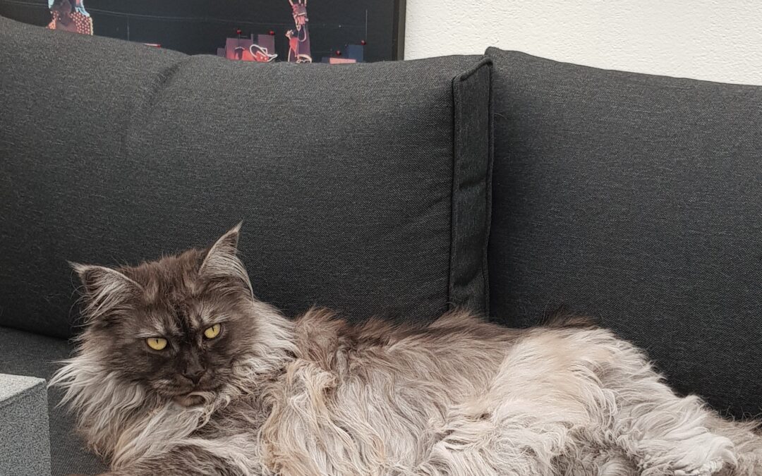 Flumi  bis 18.09.2025