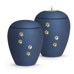 Goldene Pfoten, navy