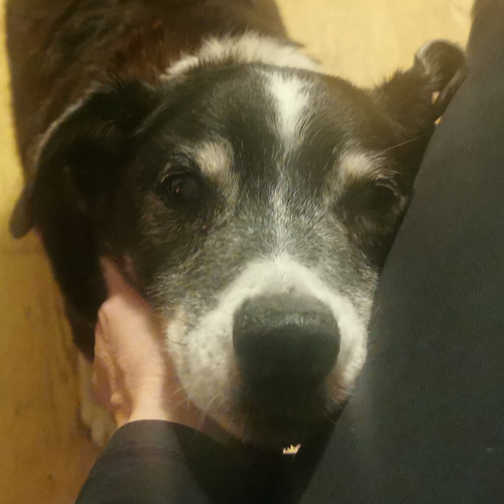 IMG 20250926 WA0023 edit 22812966900164