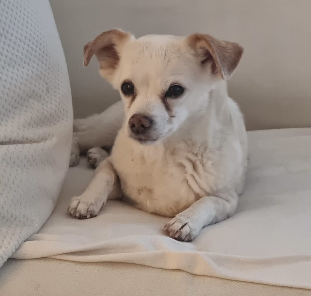 b617b1e0 9a14 469c 86ba cfdbe053c78c