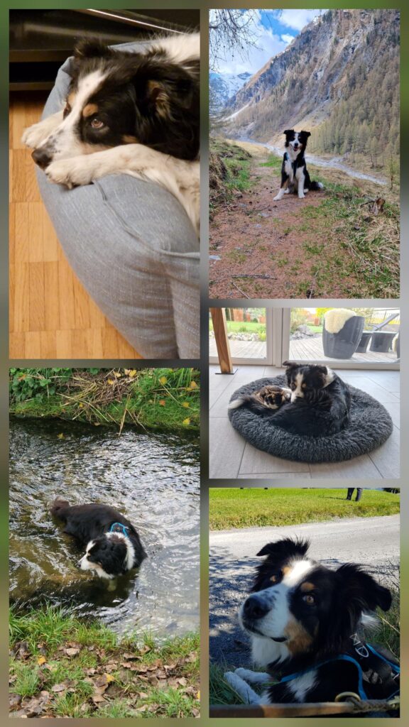 20260106 164601 Zona