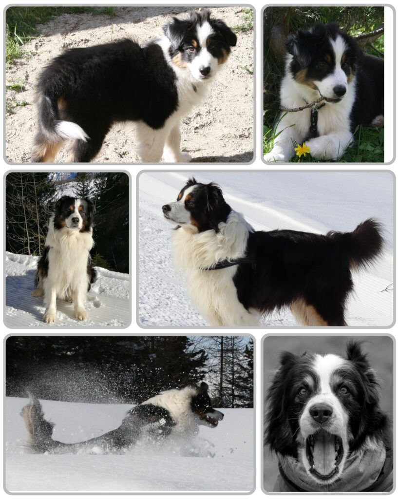 GridArt 20251231 115608515