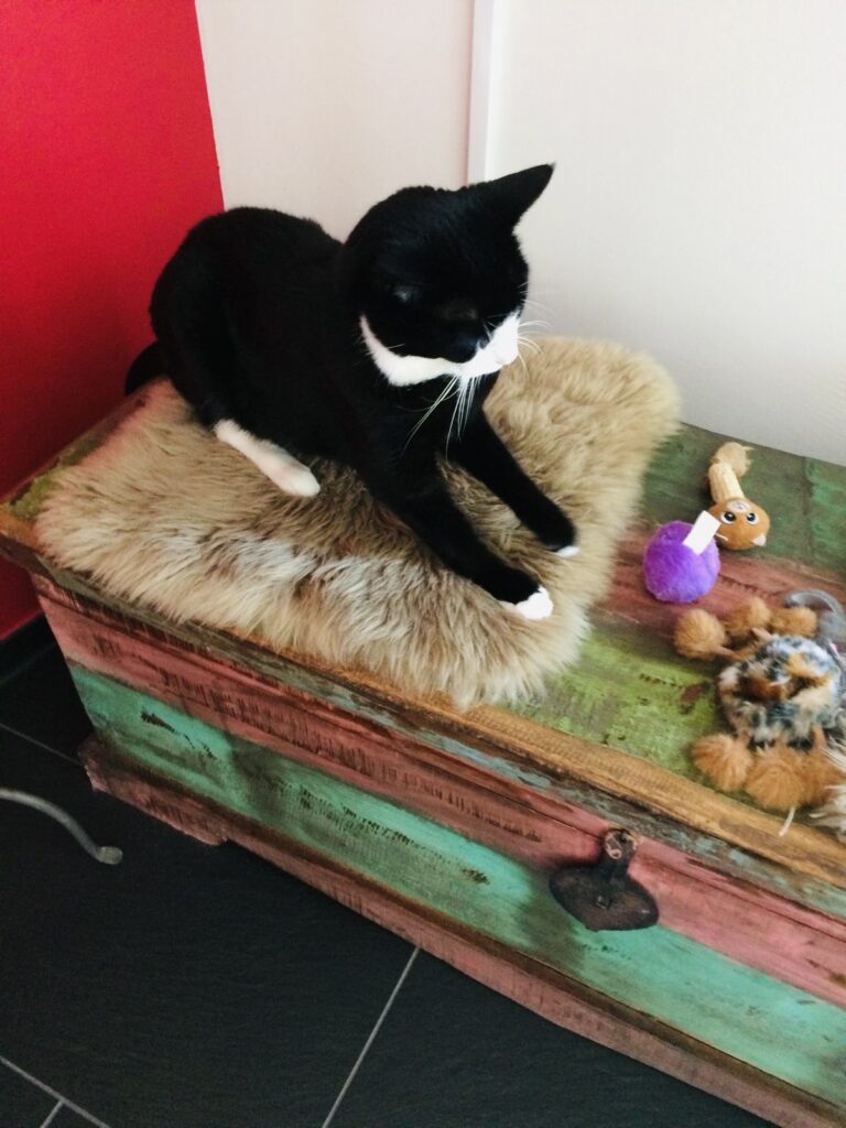 b1aed1ea 3086 4c87 ae48 12ab9754edc9