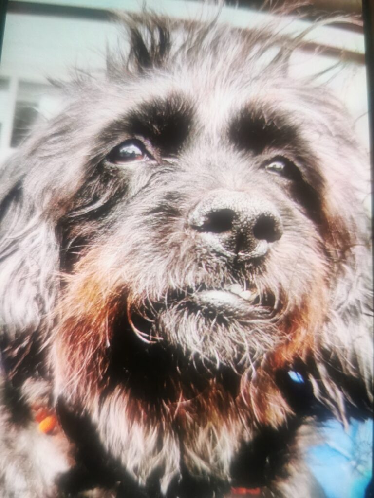 17749926975603428471741033300028