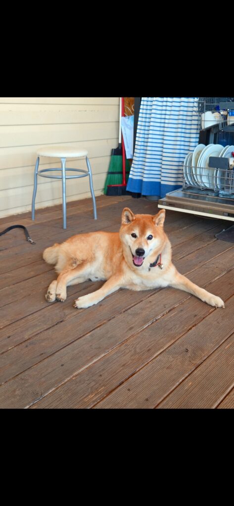 Screenshot 20260226 203009 Photos