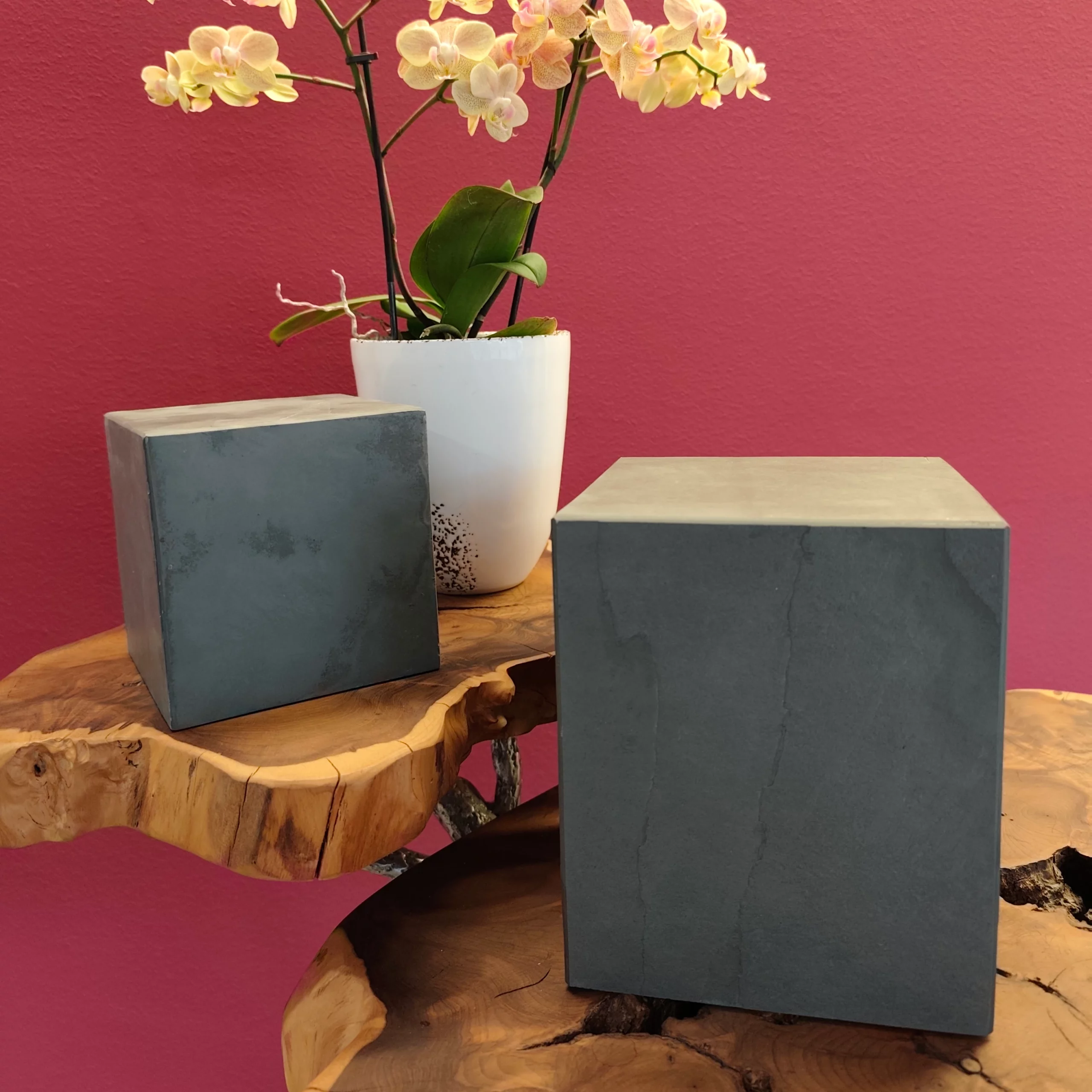 Cube Raw 2 Tierurne Cube Pur und Raw