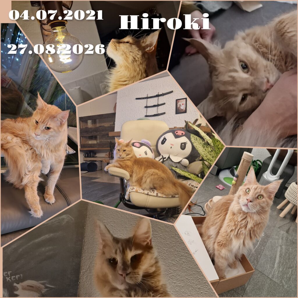 1000344328