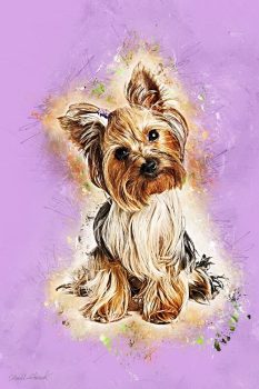 Chicco by Daniel Schmuki - photoartgraphie