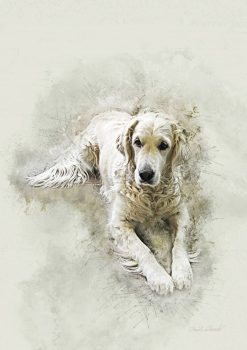 Joya by Daniel Schmuki - photoartgraphie